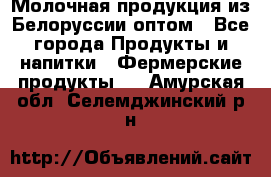 Молочная продукция из Белоруссии оптом - Все города Продукты и напитки » Фермерские продукты   . Амурская обл.,Селемджинский р-н